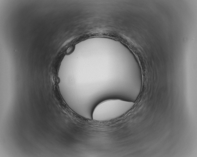 X0000113091206200908281000
