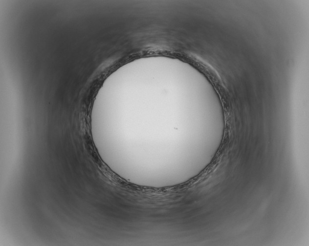 X0000113091207200908281000
