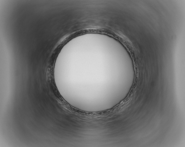 X0000113091208200908281000