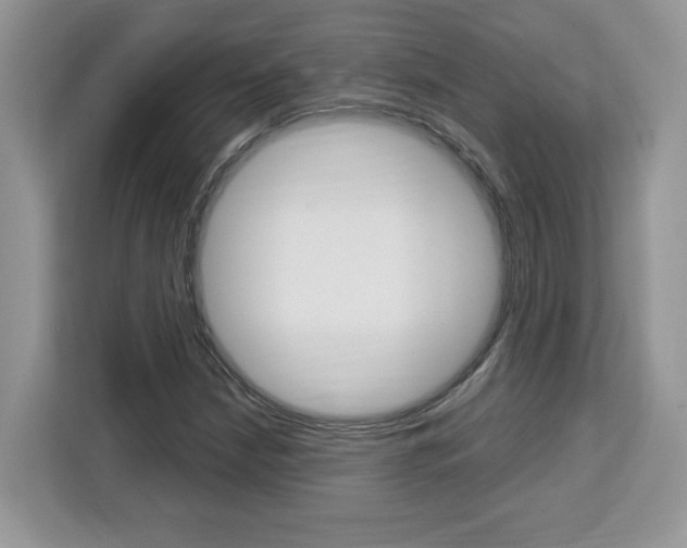 X0000113091210200908281000