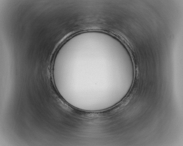 X0000113091212200908281000