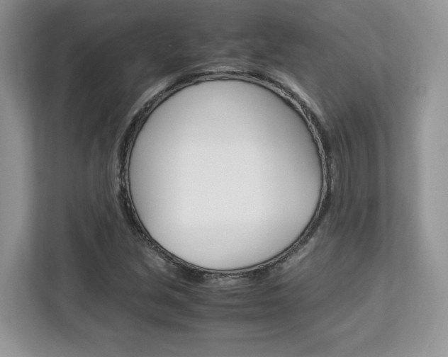 X0000113091213200908281000