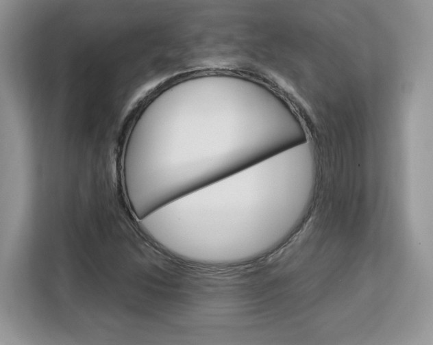 X0000113091214200908281000