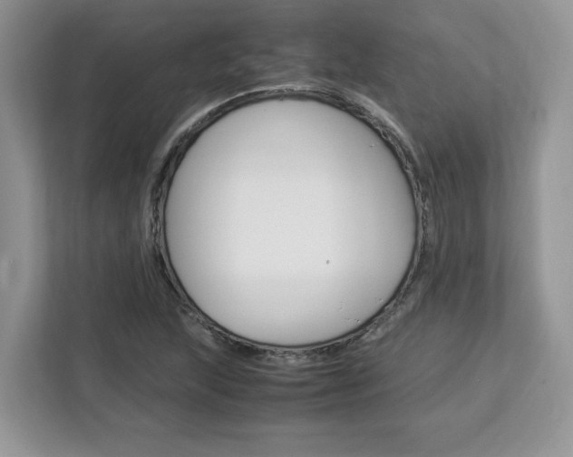X0000113091215200908281000