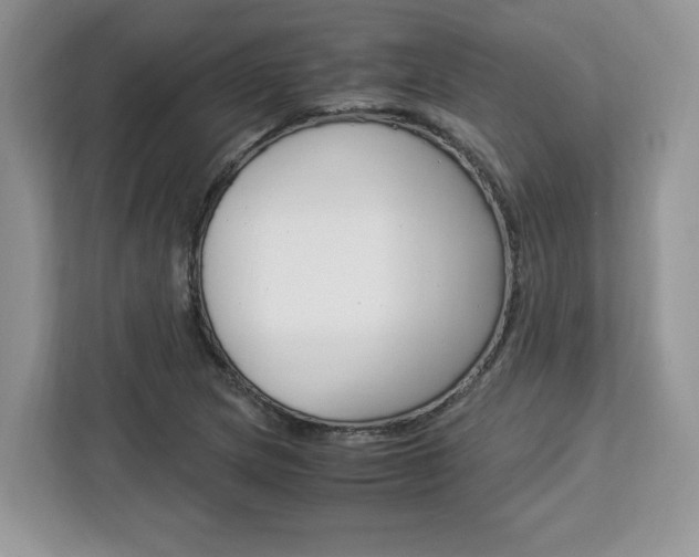 X0000113091217200908281000