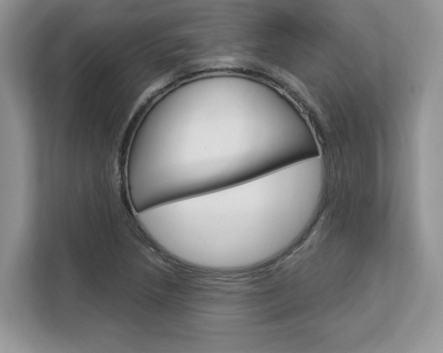 X0000113091218200908281000