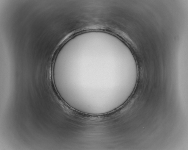 X0000113091220200908281000