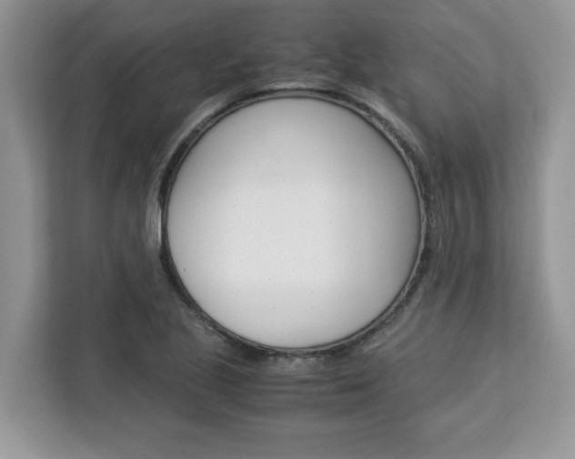 X0000113091221200908281000