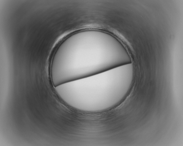 X0000113091222200908281001