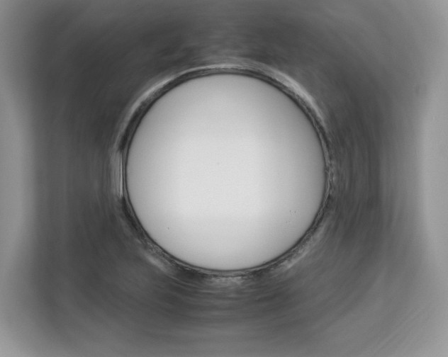 X0000113091223200908281001