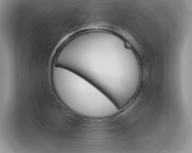 X0000113091224200908281001