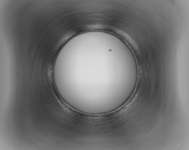 X0000113091225200908281001