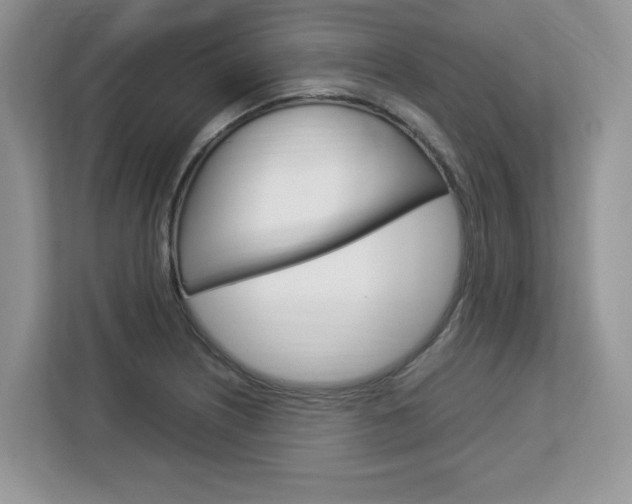 X0000113091226200908281001