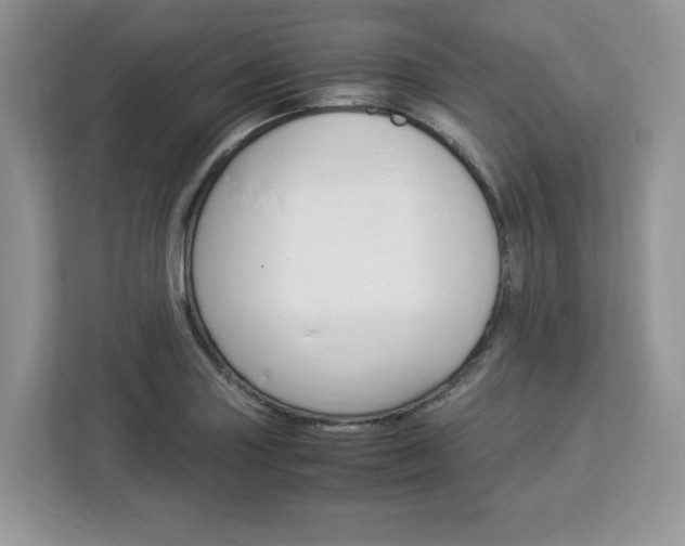 X0000113091227200908281001