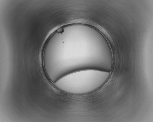 X0000113091230200908281001