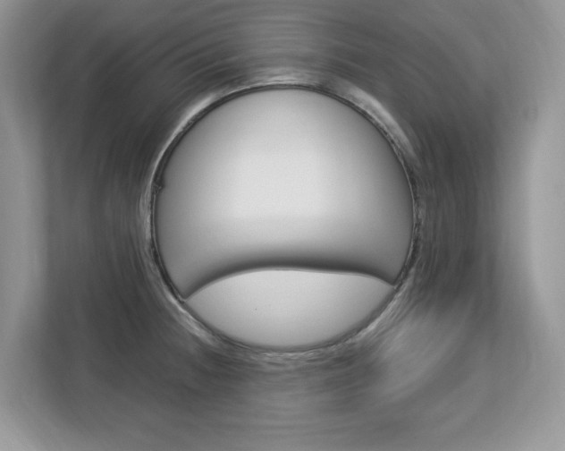 X0000113091236200908281001
