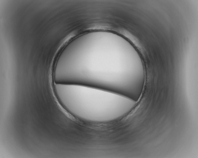 X0000113091237200908281001