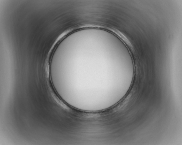 X0000113091238200908281001