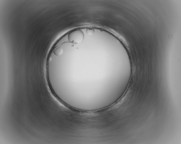 X0000113091239200908281001