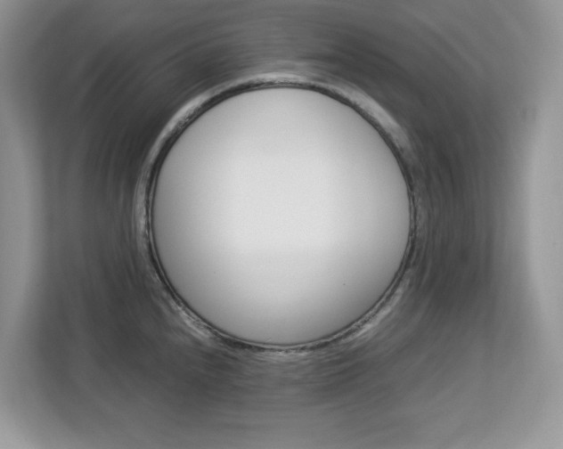 X0000113091240200908281001