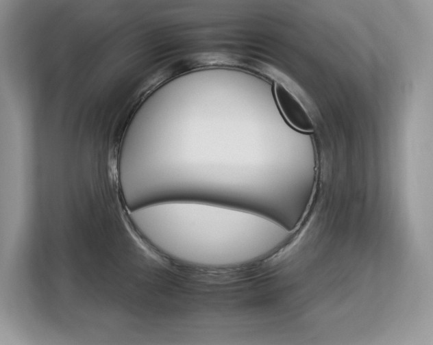 X0000113091241200908281001