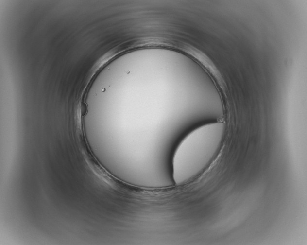 X0000113091242200908281001