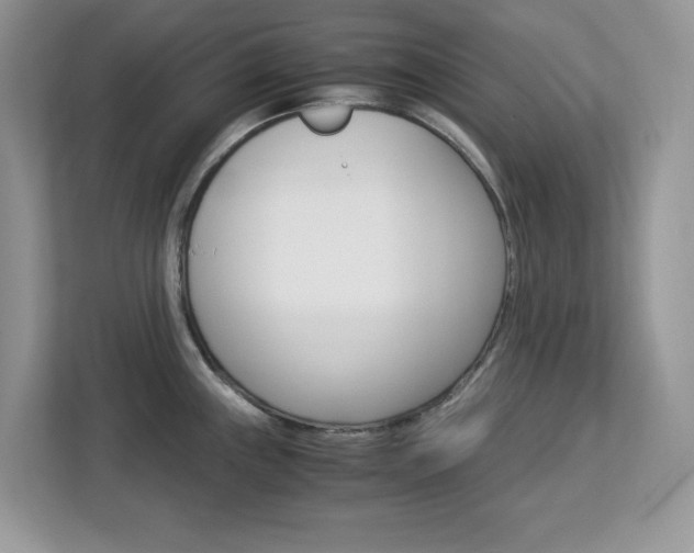 X0000113091243200908281001