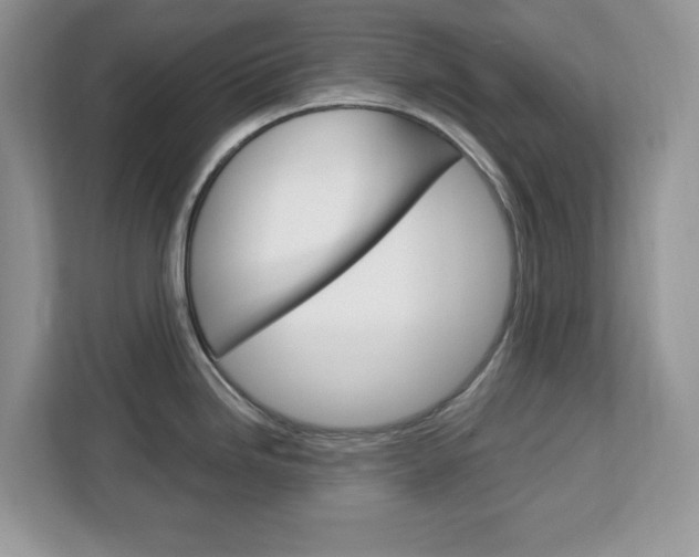 X0000113091246200908281001