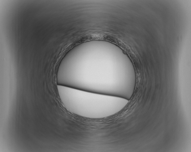X0000113091249200908281000