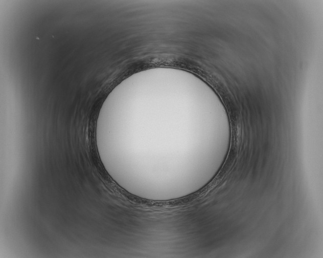 X0000113091250200908281000