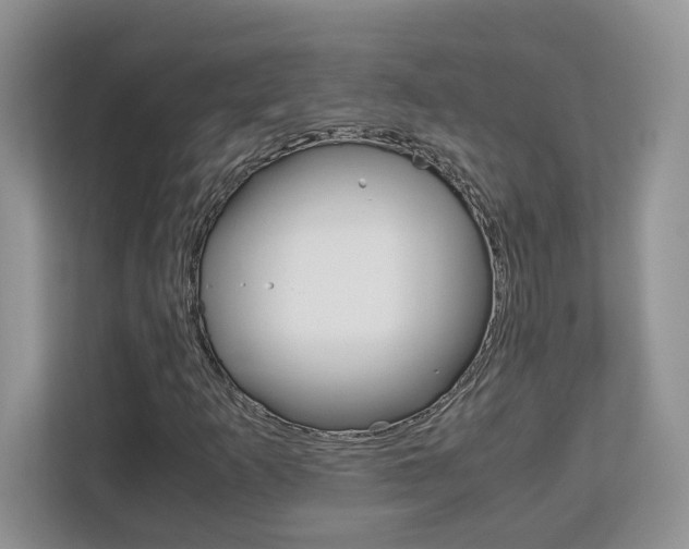 X0000113091253200908281000