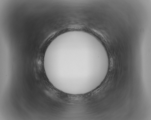 X0000113091254200908281000