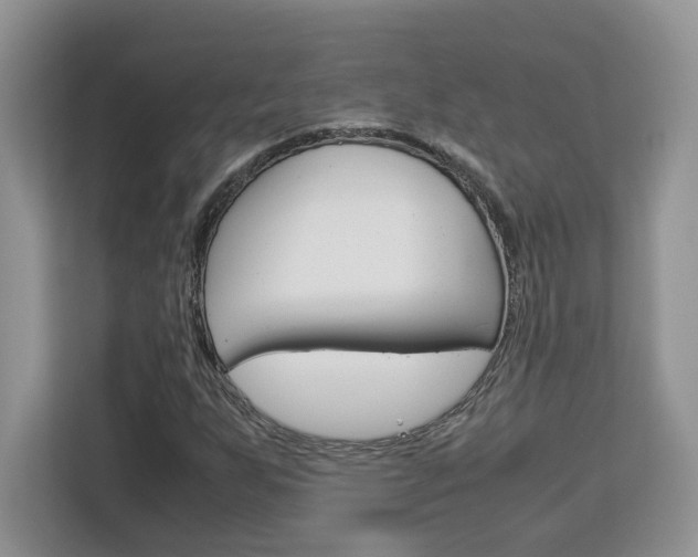 X0000113091255200908281000