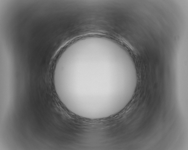 X0000113091256200908281000