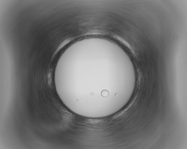 X0000113091258200908281000
