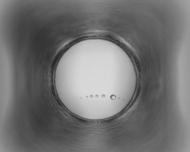 X0000113091259200908281000