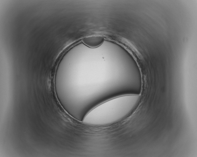 X0000113091260200908281000