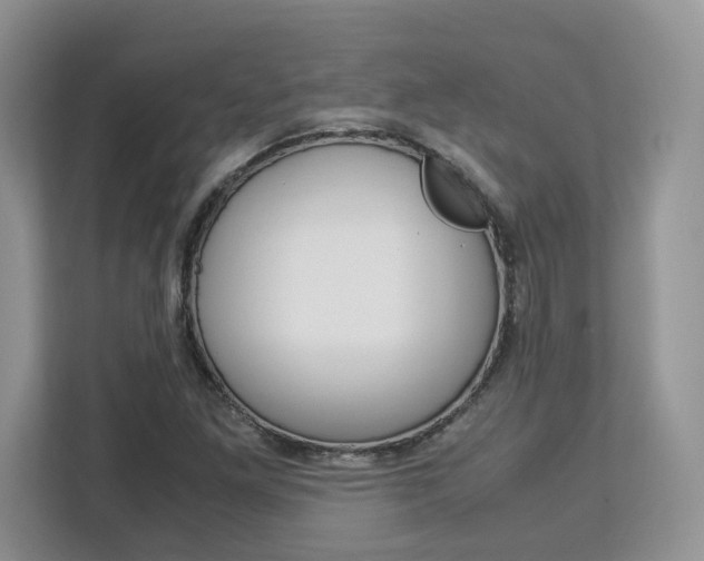 X0000113091261200908281000