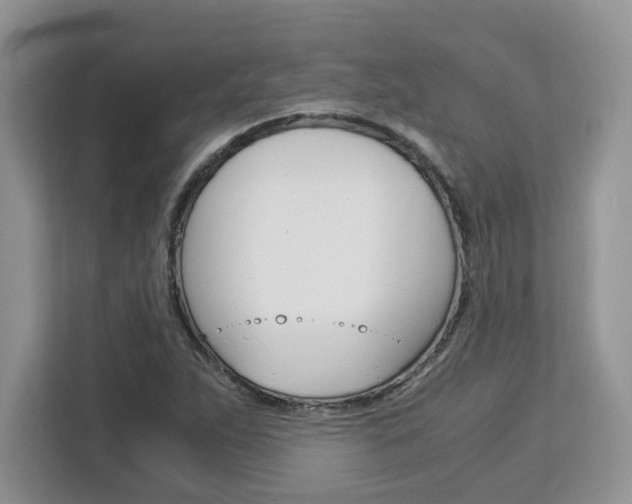 X0000113091263200908281000