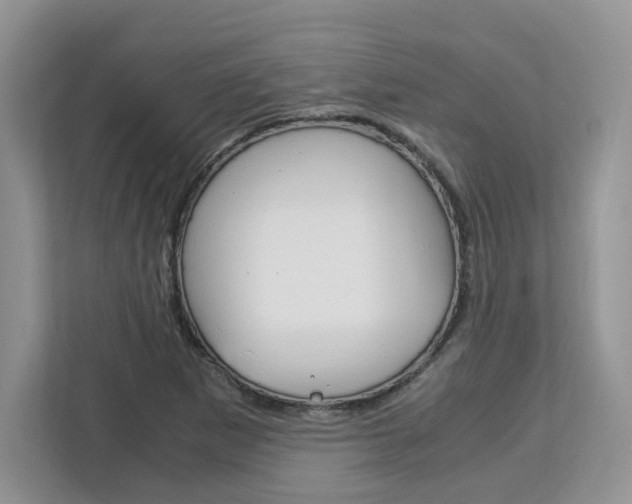 X0000113091265200908281000