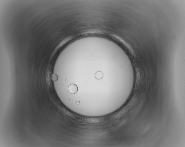 X0000113091266200908281000