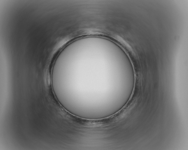 X0000113091269200908281000