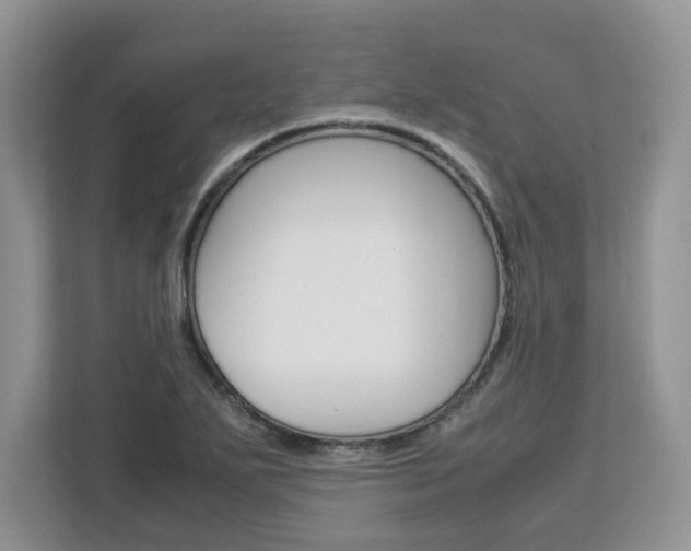 X0000113091271200908281000