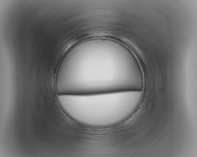 X0000113091273200908281000