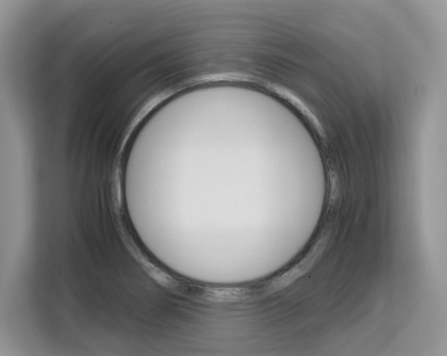 X0000113091274200908281000