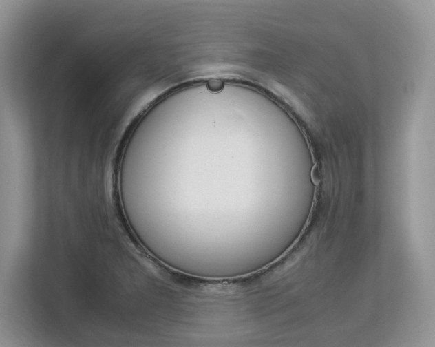 X0000113091277200908281000