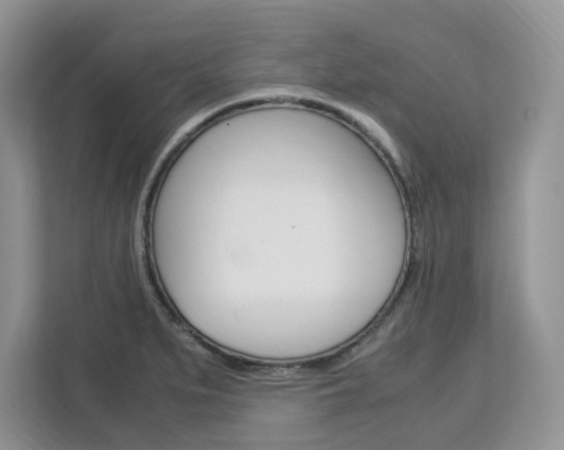 X0000113091279200908281000