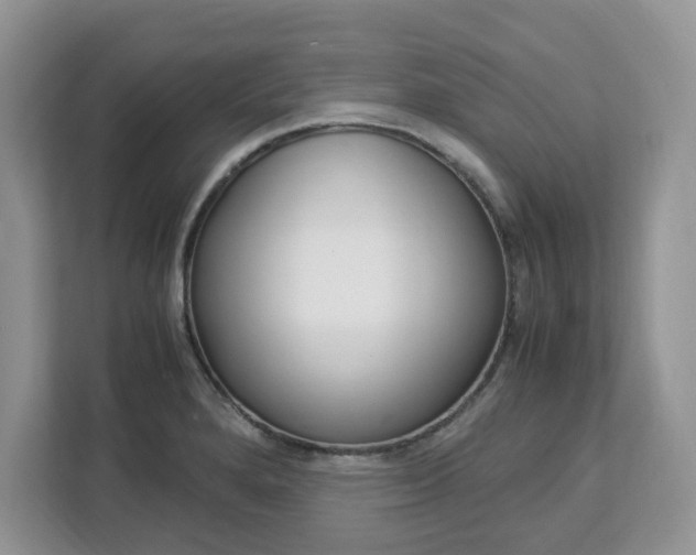 X0000113091280200908281000