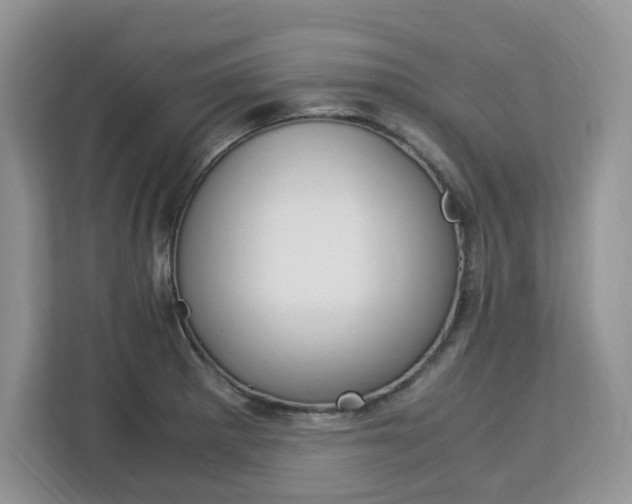 X0000113091281200908281000