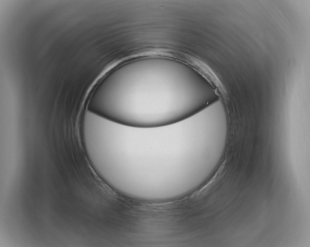 X0000113091284200908281000